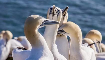 kering.com-赛季转会总结：豪门引援成效显著，豪门阵容