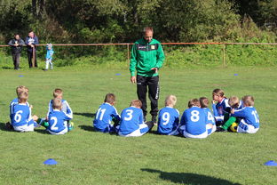 开云电竞赛事-中国篮球教练员战术创新能力培养研究，篮球教练员职业素养的三大核心